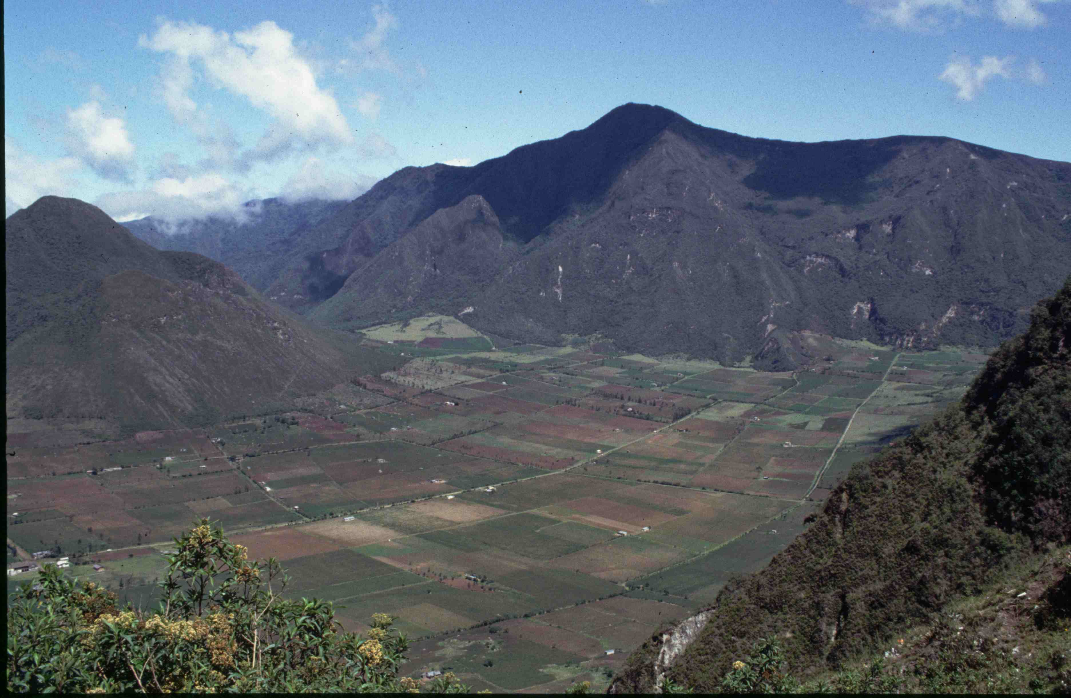 1993