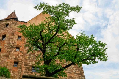 Nuernberg