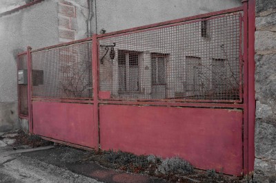 Rot