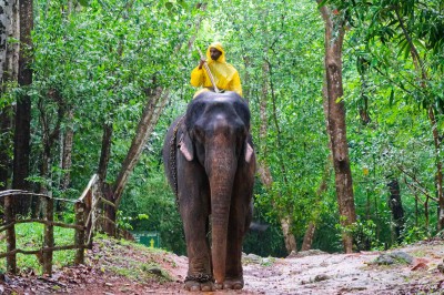 IN-Athirappilly