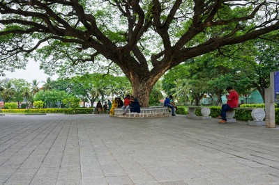 IN-Somanathapura